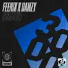 Damzy & Feenix - Disaster - Single